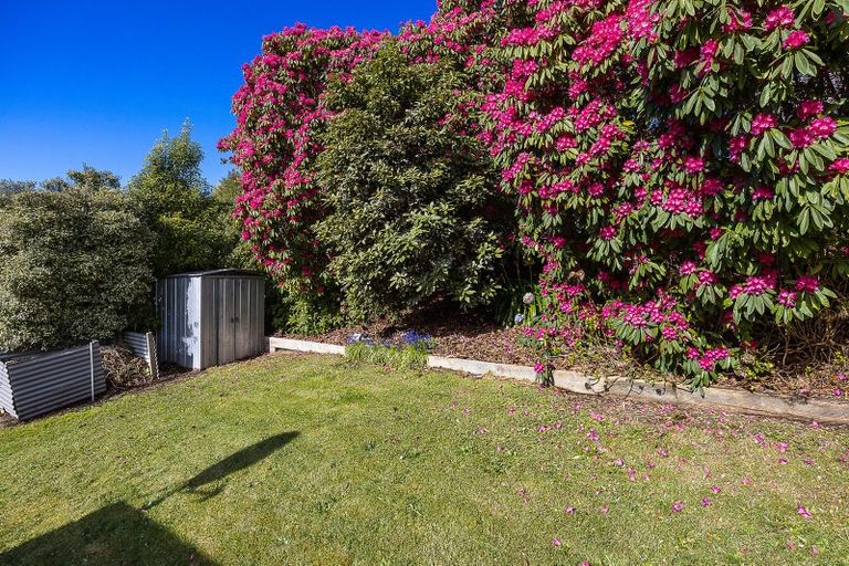 Photo of property in 56 Glenross Street, Glenross, Dunedin, 9011