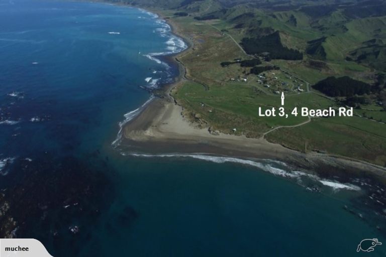 Photo of property in 4 Beach Road, Flat Point, Masterton, 5883