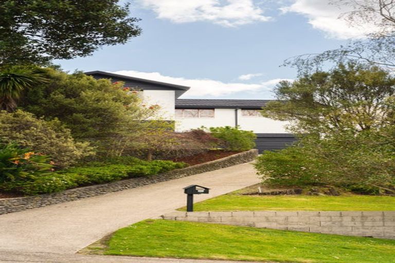 Photo of property in 17 Upland Street, Brookfield, Tauranga, 3110