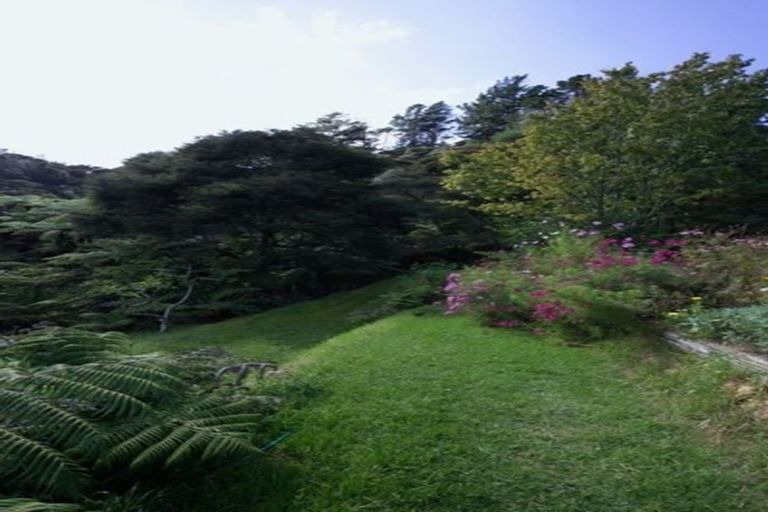 Photo of property in 850 Buffalo Road, Coromandel, 3506