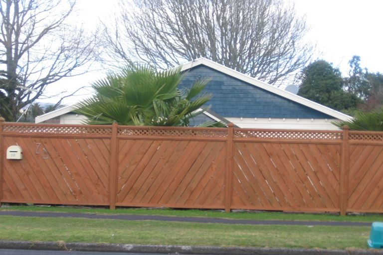 Photo of property in 2d Youngs Road, Papakura, 2110