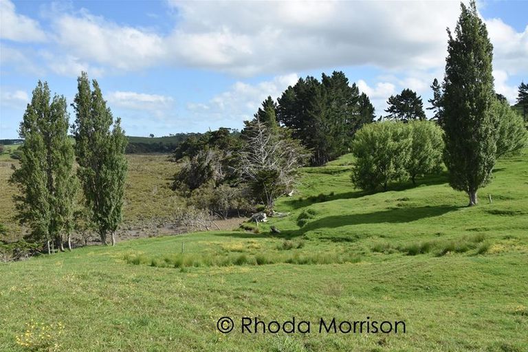 Photo of property in 4 Matahehe Lane, Tinopai, Matakohe, 0593