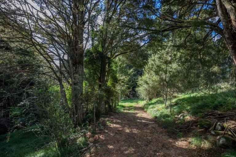 Photo of property in 132 Gibbs Road, Whakapara, Hikurangi, 0182