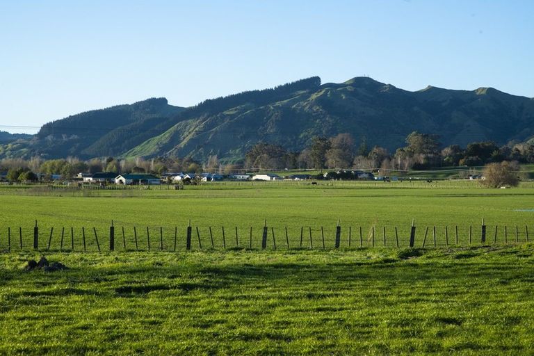 Photo of property in 82 Hansen Road, Makauri, Gisborne, 4071