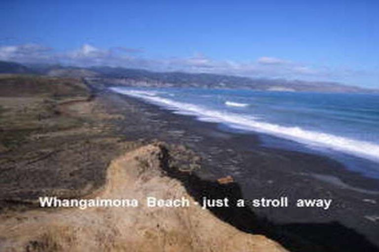 Photo of property in 71a Whangaimoana Beach Road, Whangaimoana, Featherston, 5772