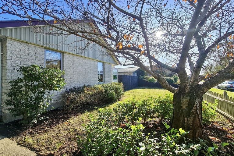 Photo of property in 29 Jenkins Avenue, Redwood, Christchurch, 8051
