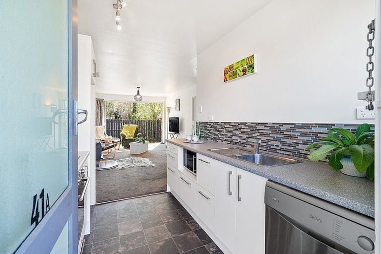 Photo of property in 41a Burnett Street, Oxford, 7430