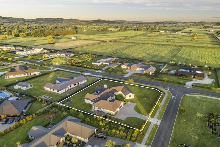 Photo of property in 37 Recite Avenue, Leamington, Cambridge, 3432