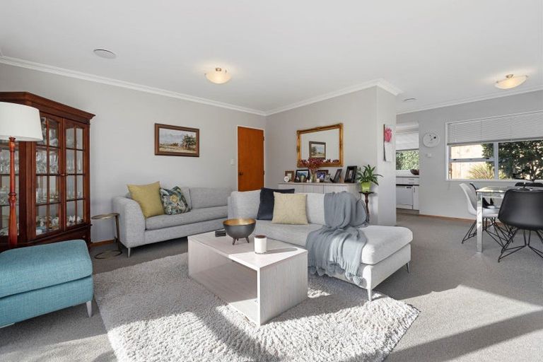 Photo of property in 5a Twelfth Avenue, Tauranga South, Tauranga, 3112