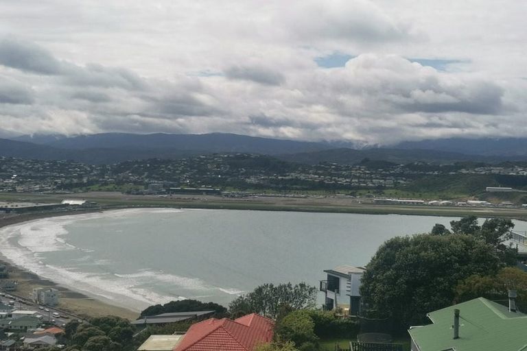 Photo of property in 133 Hornsey Road, Melrose, Wellington, 6023