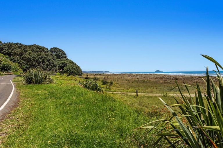 Photo of property in 233 Ohiwa Beach Road, Waiotahe, Opotiki, 3198