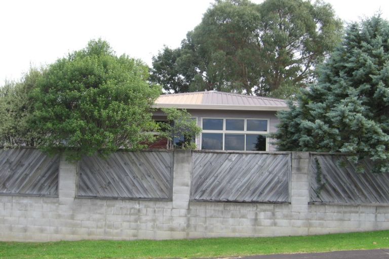 Photo of property in 62 Vintage Drive, Henderson, Auckland, 0612
