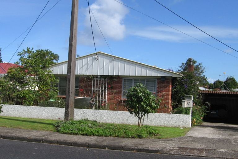 Photo of property in 12 Kingdale Road, Henderson, Auckland, 0610