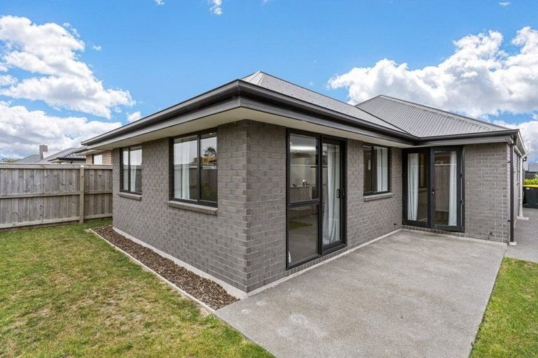 Photo of property in 29 Mills Road, Marshland, Christchurch, 8051