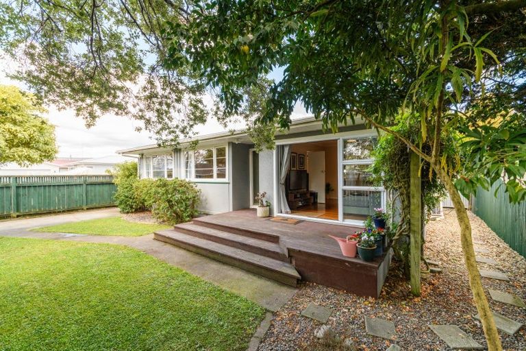 Photo of property in 458 Ruahine Street, Terrace End, Palmerston North, 4410