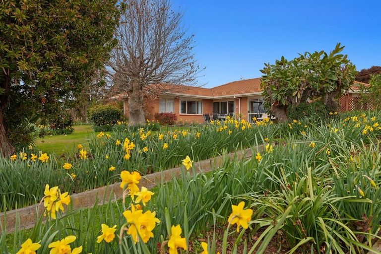Photo of property in 304 Woodlands Road, Otara, Opotiki, 3198