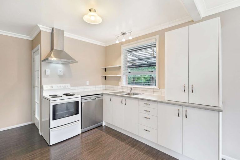 Photo of property in 56 Windsor Street, Terrace End, Palmerston North, 4410