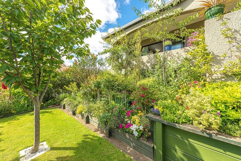 Photo of property in 56a Plymouth Street, Whanganui, 4500