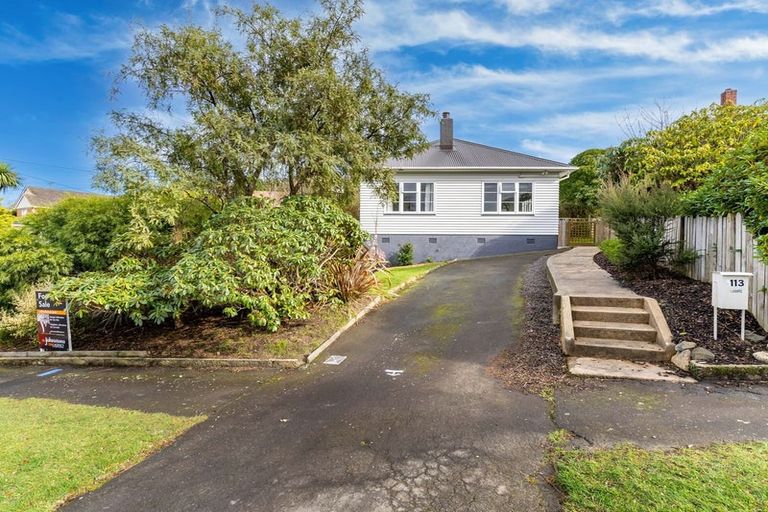 Photo of property in 113 Chapman Street, Wakari, Dunedin, 9010