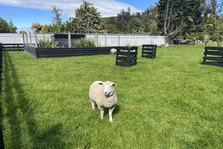 Photo of property in 249 Pukeuri-oamaru Road, Pukeuri, Oamaru, 9493