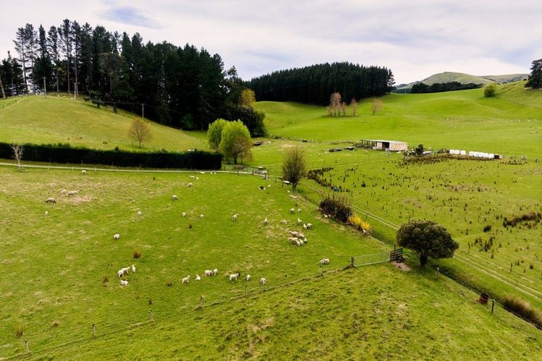 Photo of property in 66 Deer Park Road, Cheviot, 7310