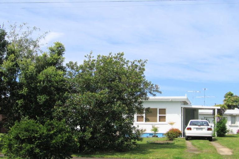 Photo of property in 15 Buchanan Street, Mangapapa, Gisborne, 4010