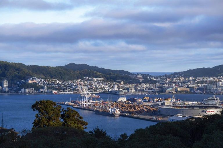 Photo of property in 14 Tensing Place, Khandallah, Wellington, 6035