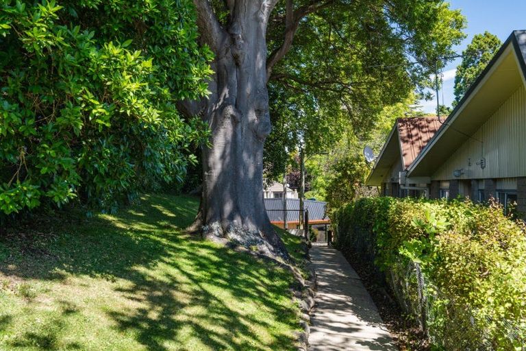 Photo of property in 43 Melrose Street, Roslyn, Dunedin, 9010