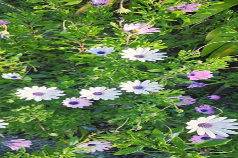 Photo of property in 7 Pah Road, Onerahi, Whangarei, 0110