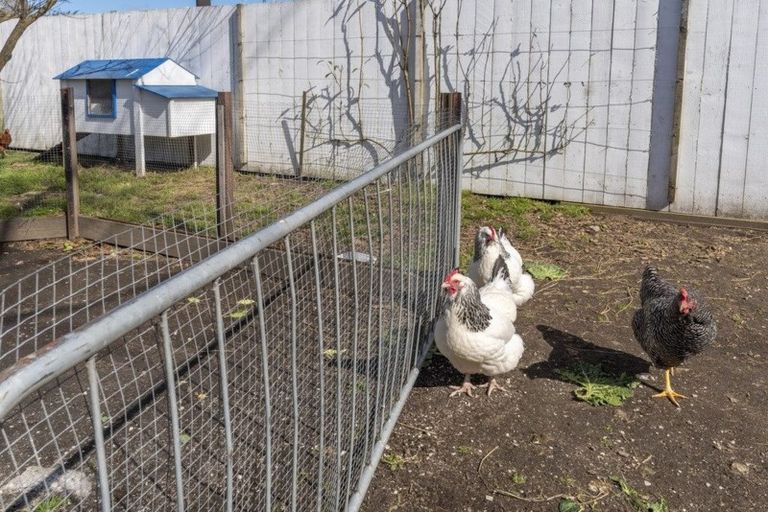 Photo of property in 273 Snodgrass Road, Te Puna, Tauranga, 3174