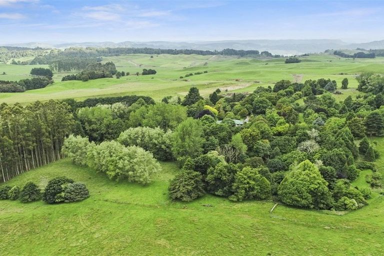 Photo of property in 488 Tapuwae Road, Maniaiti / Benneydale, Te Kuiti, 3987