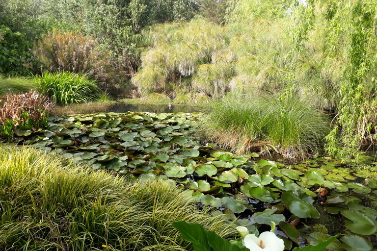 Photo of property in 384 Tara Road, Mangawhai, Kaiwaka, 0573