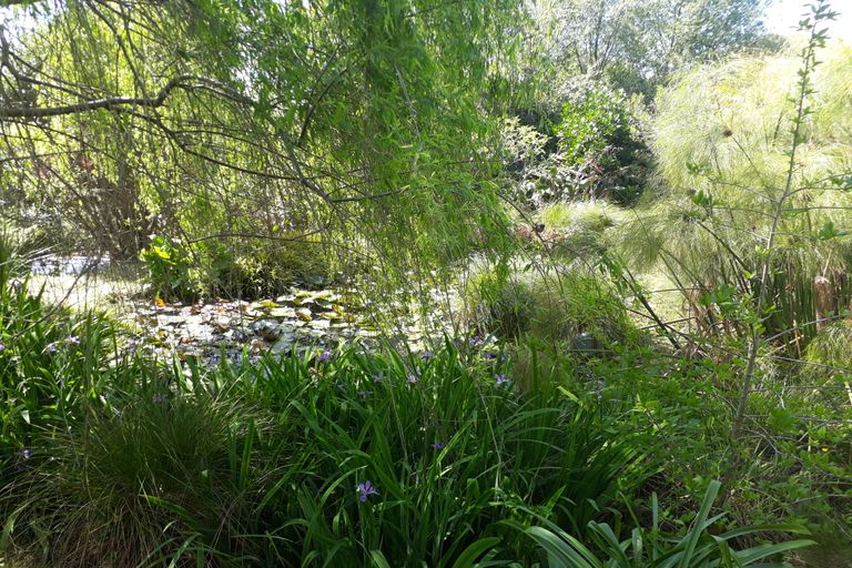 Photo of property in 384 Tara Road, Mangawhai, Kaiwaka, 0573