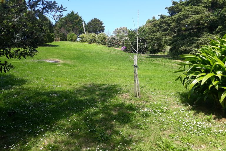 Photo of property in 384 Tara Road, Mangawhai, Kaiwaka, 0573