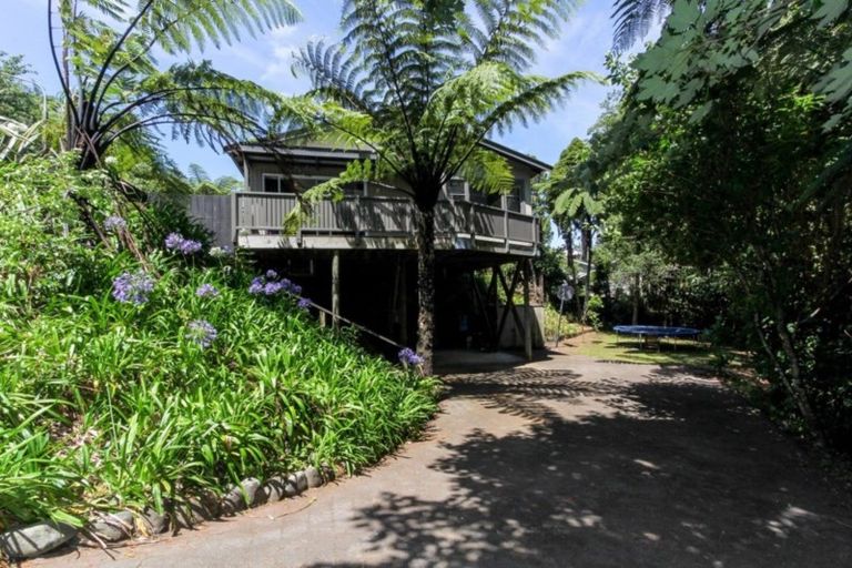 Photo of property in 19 Sycamore Grove, Lower Vogeltown, New Plymouth, 4310