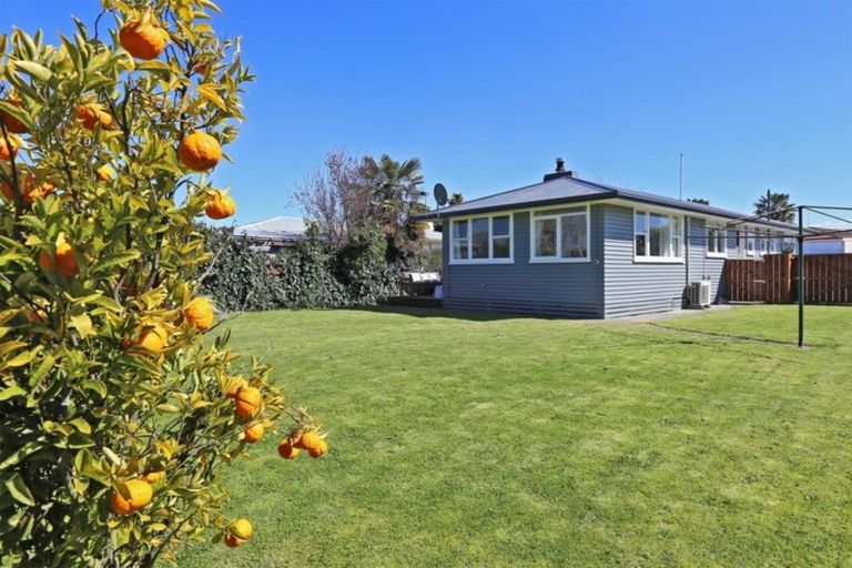 Photo of property in 615 Willow Place, Akina, Hastings, 4122