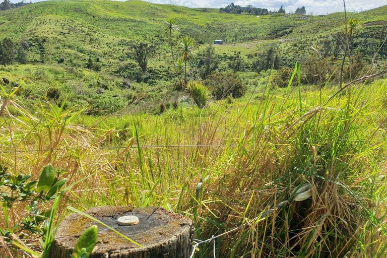 Photo of property in 610 Bickerstaffe Road, Maungaturoto, 0587