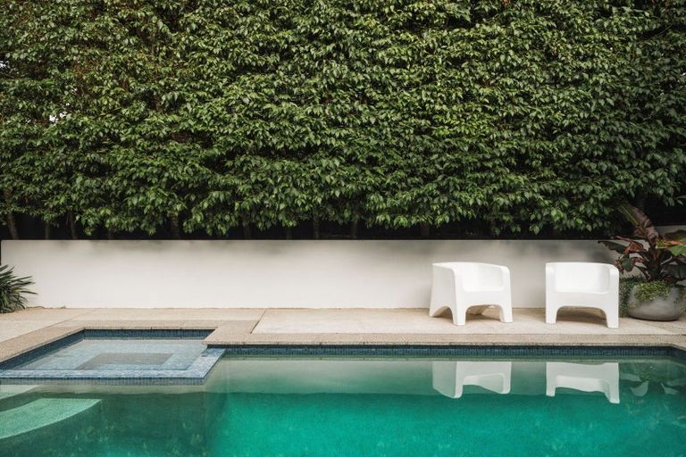 Photo of property in 13 Dexter Avenue, Mount Eden, Auckland, 1024