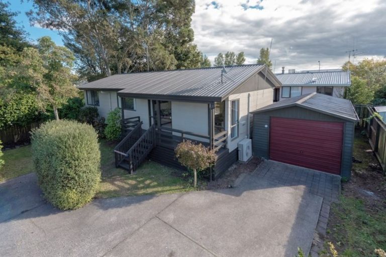 Photo of property in 45b Hibiscus Avenue, Hamilton Lake, Hamilton, 3204
