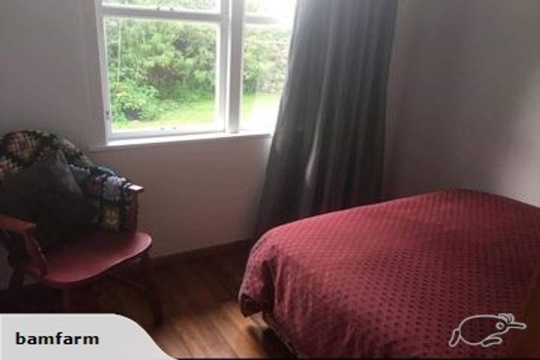 Photo of property in 50 Pagitt Street, Coromandel, 3506