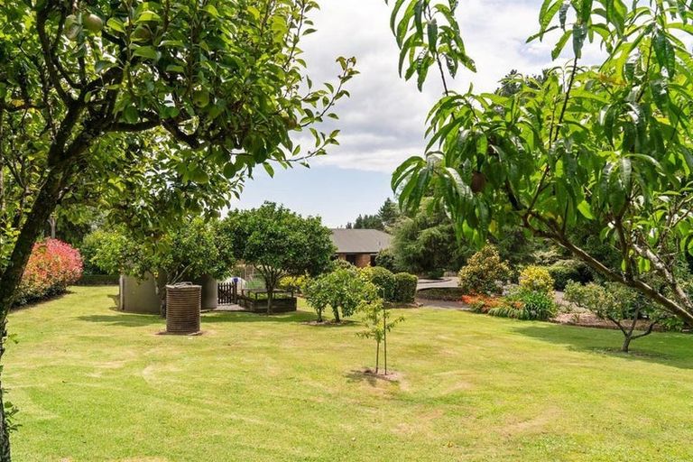 Photo of property in 928 Omanawa Road, Omanawa, Tauranga, 3171