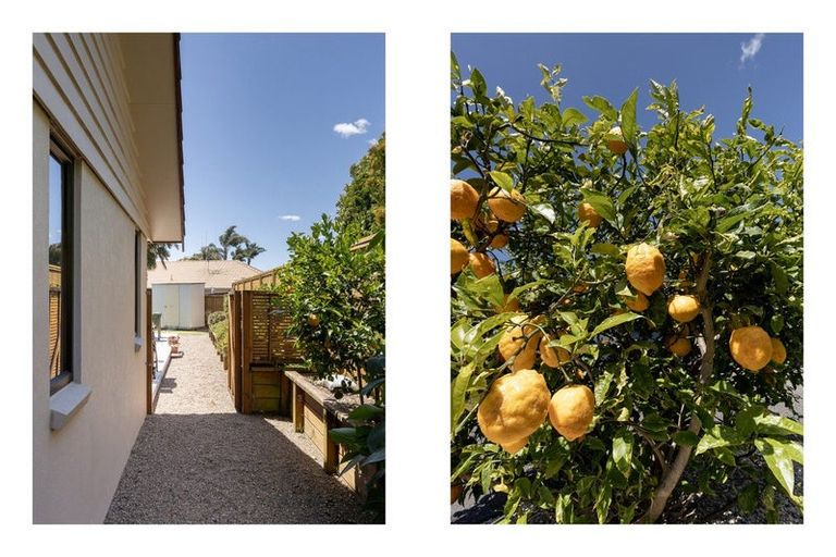 Photo of property in 31 Brackenburn Drive, Ohauiti, Tauranga, 3112