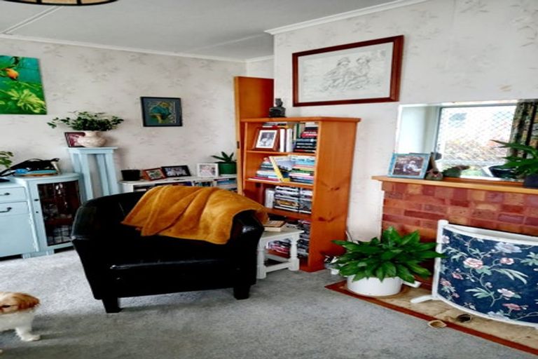 Photo of property in 29 Princes Street, Waihi, 3610