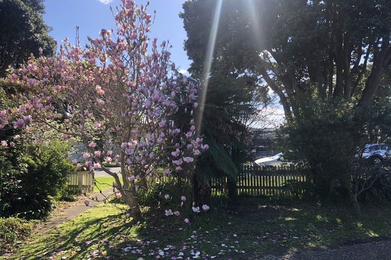 Photo of property in 14 Thornycroft Avenue, Epuni, Lower Hutt, 5011