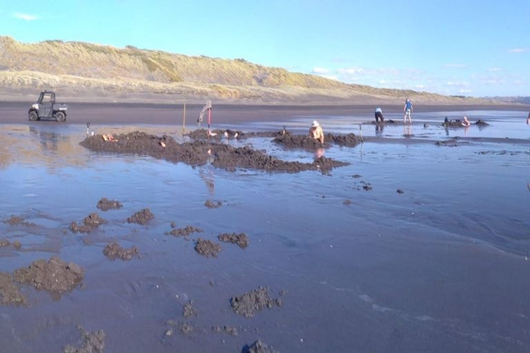 Photo of property in 125 Lawton Drive, Kawhia, 3889