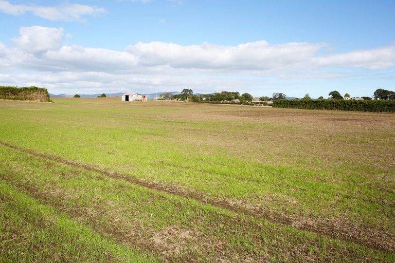 Photo of property in 142 Hutchings Road, Waiuku, 2682