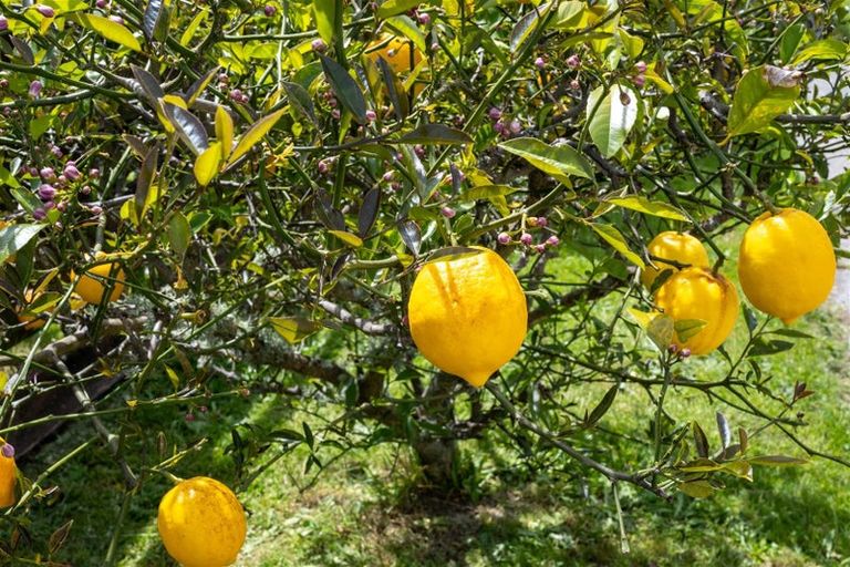 Photo of property in 32 Ranui Road, Stoke, Nelson, 7011