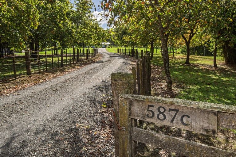 Photo of property in 587c Crane Road, Kauri, Kamo, 0185