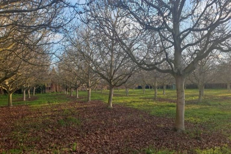 Photo of property in 142 Cullen Avenue, Swannanoa, Rangiora, 7475