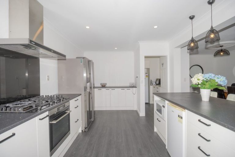 Photo of property in 59 Dittmer Drive, Awapuni, Palmerston North, 4412